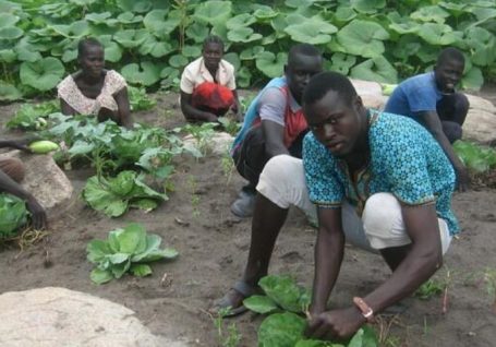 Jóvenes por el clima en Uganda: agricultura inteligente para la vida