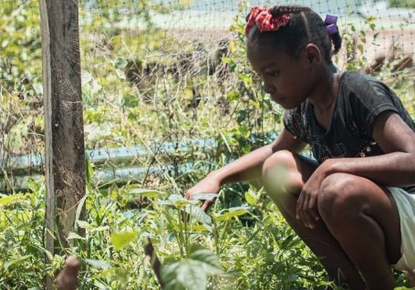 Derechos de la infancia: derecho a un medioambiente sano y sostenible en Colombia