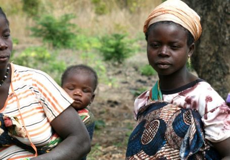 Resiliencia ambiental para lograr seguridad alimentaria en Mozambique: nuestro trabajo con la ONG VIDA