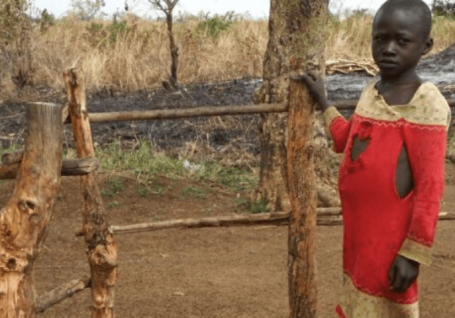 Uganda: salvar los bosques para salvar la vida